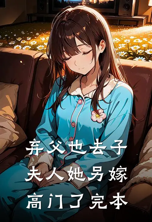 弃父也去子，夫人她另嫁高门了完本