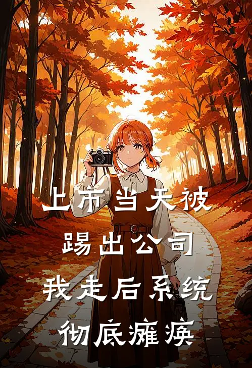上市当天被踢出公司，我走后系统彻底瘫痪