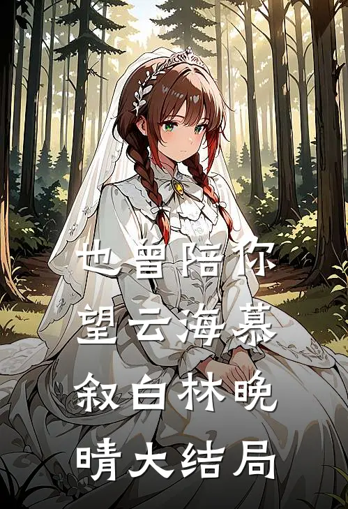 也曾陪你望云海慕叙白林晚晴大结局
