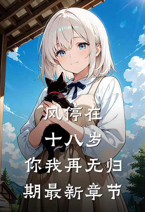风停在十八岁，你我再无归期最新章节