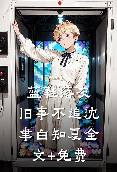 蓝鞋落灰，旧事不追沈聿白知夏全文+免费