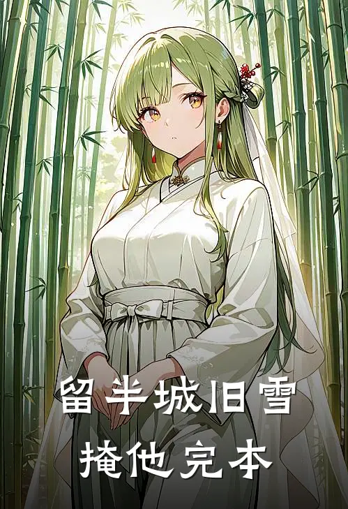 留半城旧雪掩他完本
