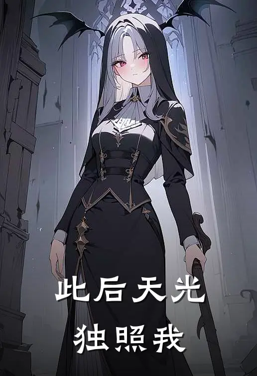 此后天光独照我