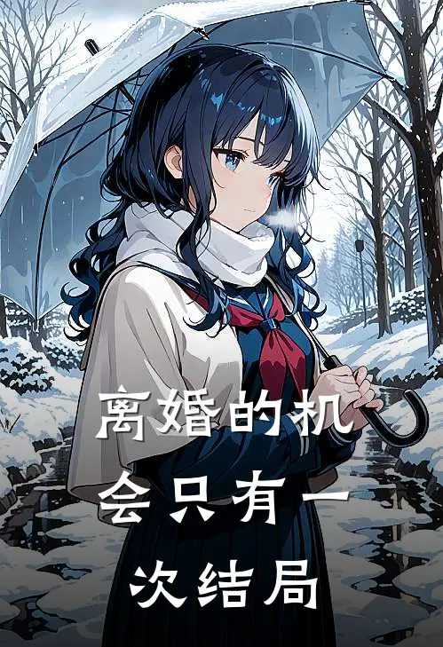 离婚的机会只有一次结局