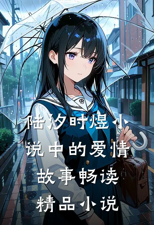 陆汐时煜小说中的爱情故事畅读精品小说
