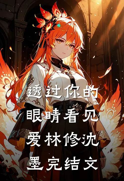 透过你的眼睛看见爱林修沈墨完结文
