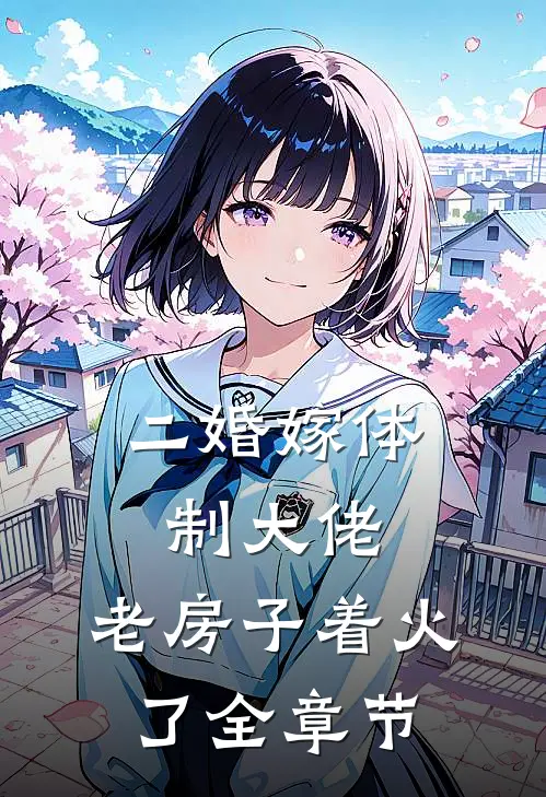 二婚嫁体制大佬，老房子着火了全章节