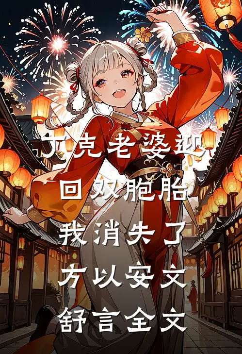 丁克老婆迎回双胞胎，我消失了方以安文舒言全文