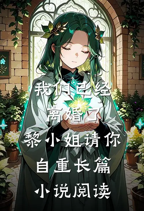 我们已经离婚了，黎小姐请你自重长篇小说阅读