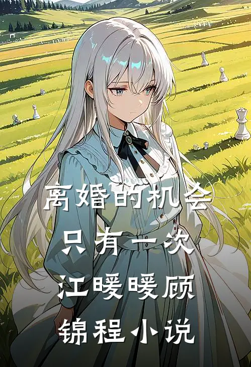 离婚的机会只有一次江暖暖顾锦程小说