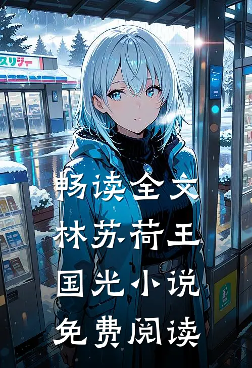 畅读全文林苏荷王国光小说免费阅读