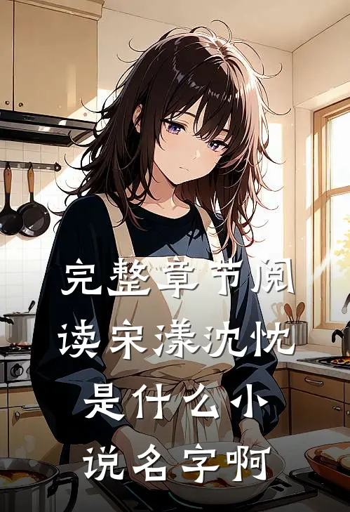 完整章节阅读宋漾沈忱是什么小说名字啊