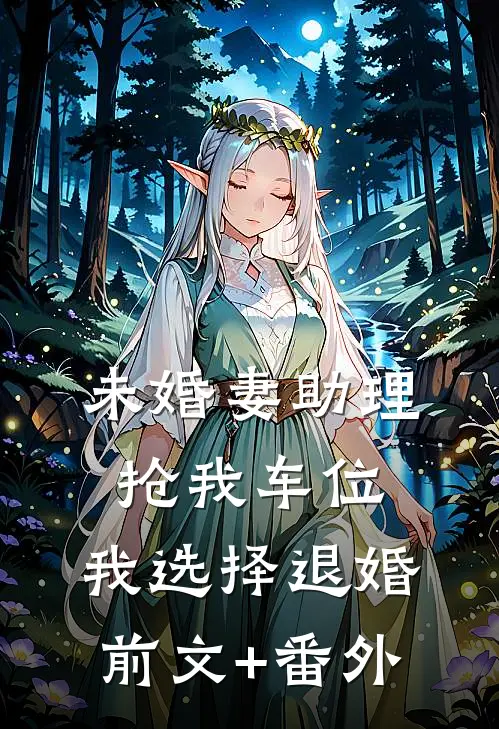 未婚妻助理抢我车位，我选择退婚前文+番外