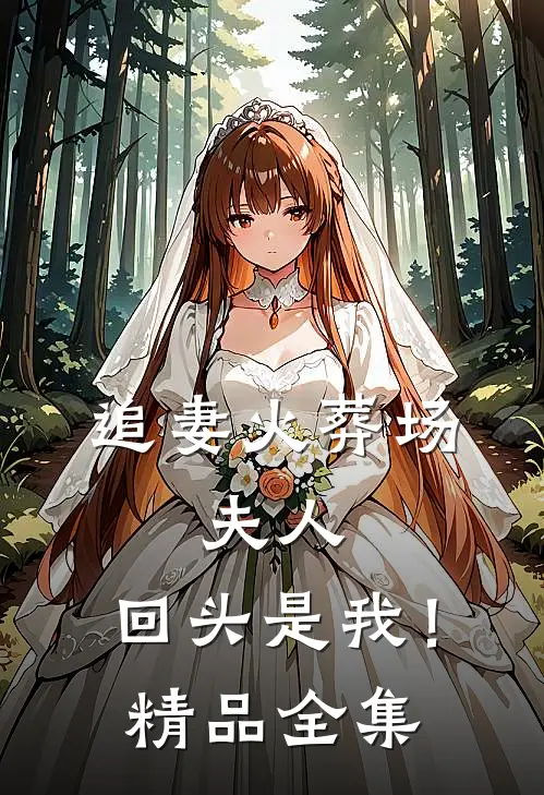 追妻火葬场：夫人，回头是我！精品全集
