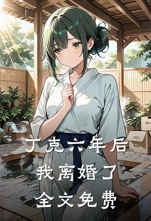 丁克六年后，我离婚了全文免费