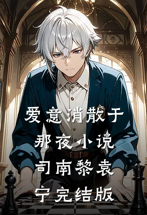 爱意消散于那夜小说司南黎袁宁完结版