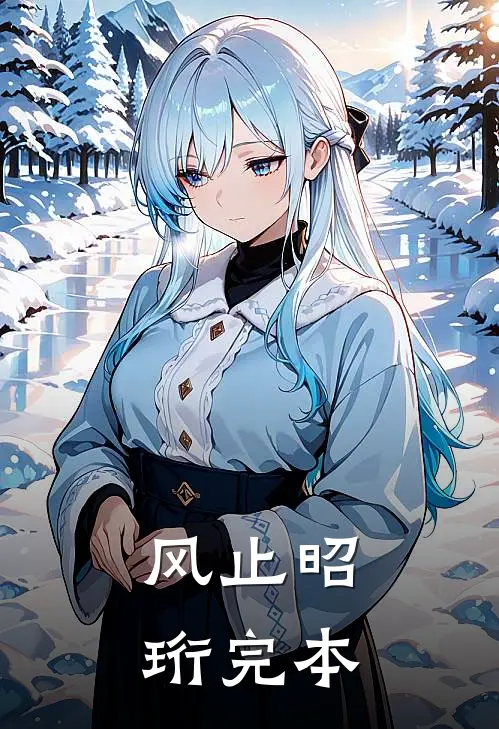风止昭珩完本
