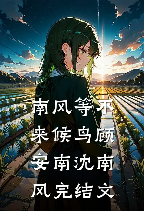 南风等不来候鸟顾安南沈南风完结文