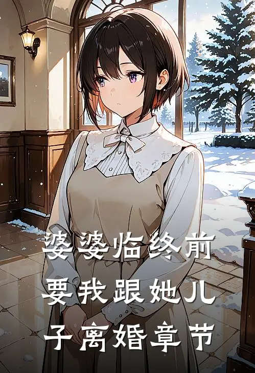 婆婆临终前要我跟她儿子离婚章节
