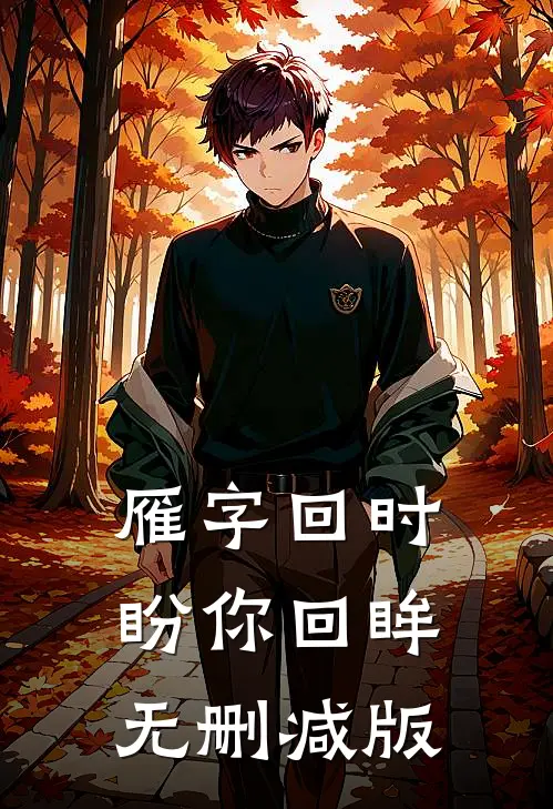 雁字回时盼你回眸无删减版