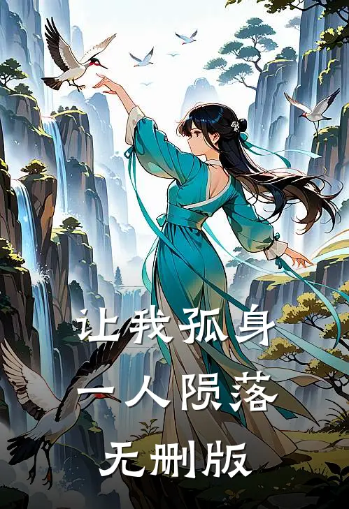让我孤身一人陨落无删版