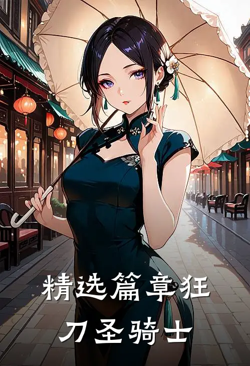 精选篇章狂刀圣骑士