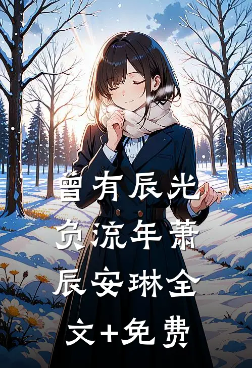 曾有辰光负流年萧辰安琳全文+免费