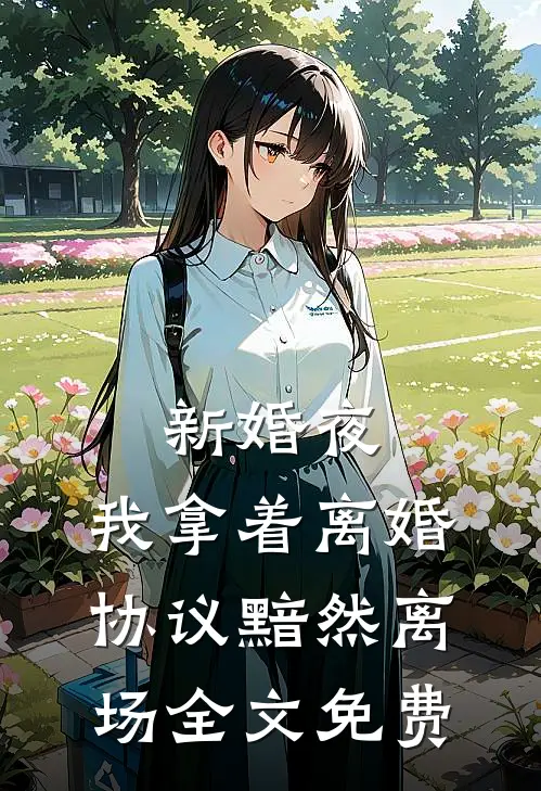 新婚夜，我拿着离婚协议黯然离场全文免费