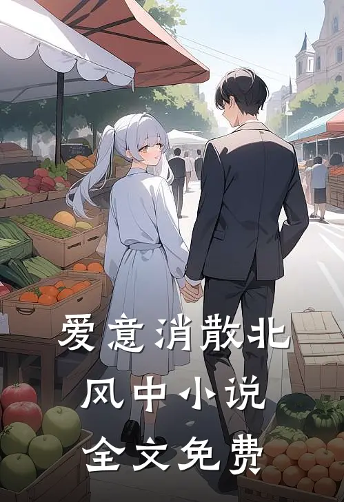 爱意消散北风中小说全文免费