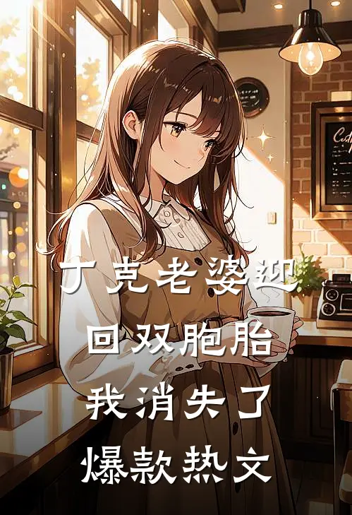 丁克老婆迎回双胞胎，我消失了爆款热文