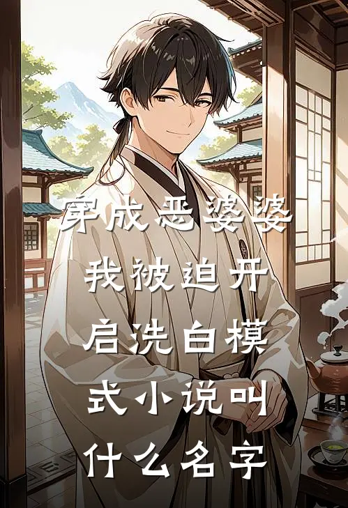 穿成恶婆婆，我被迫开启洗白模式小说叫什么名字