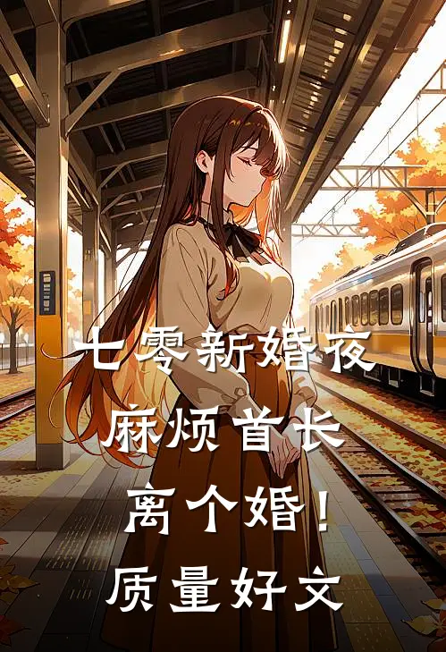 七零新婚夜，麻烦首长离个婚！质量好文