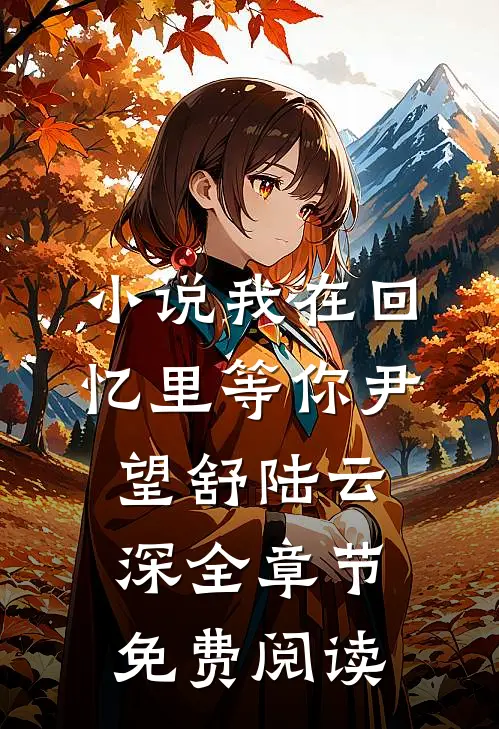 小说我在回忆里等你尹望舒陆云深全章节免费阅读