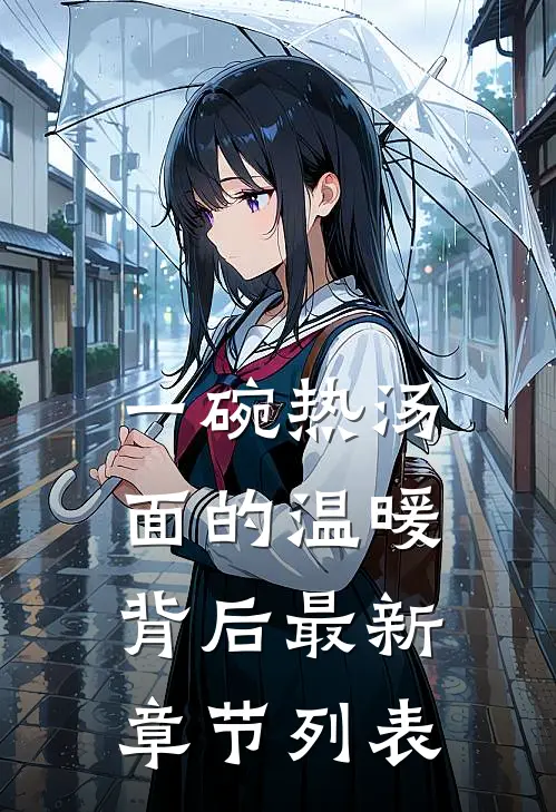 一碗热汤面的温暖背后最新章节列表