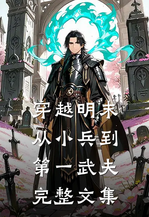 穿越明末：从小兵到第一武夫完整文集