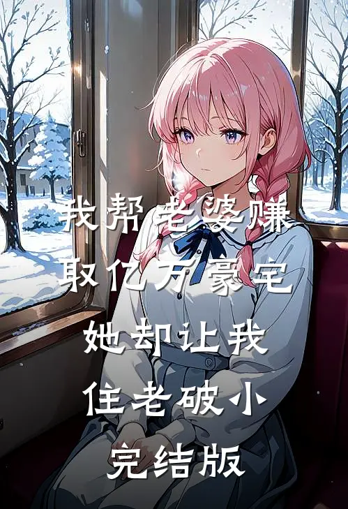 我帮老婆赚取亿万豪宅，她却让我住老破小完结版