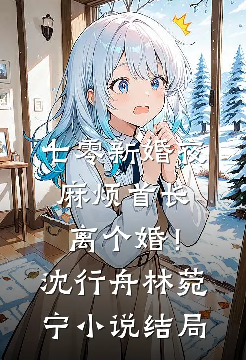 七零新婚夜，麻烦首长离个婚！沈行舟林菀宁小说结局