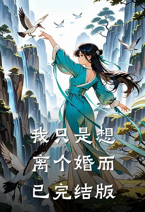 我只是想离个婚而已完结版