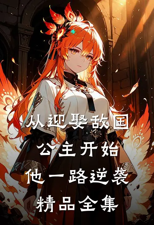 从迎娶敌国公主开始，他一路逆袭精品全集