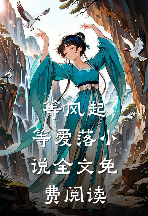 等风起，等爱落小说全文免费阅读