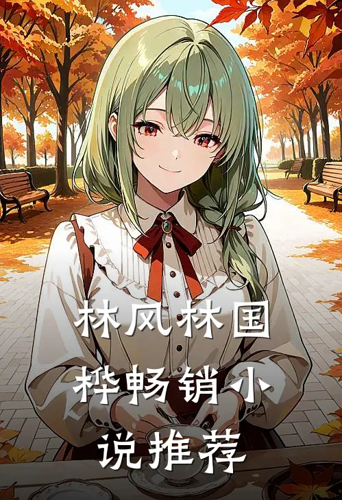 林风 林国桦畅销小说推荐