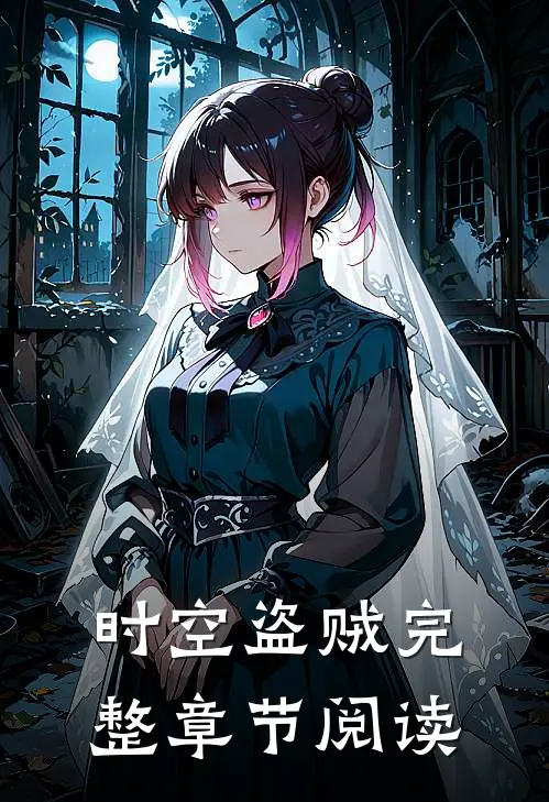 时空盗贼完整章节阅读