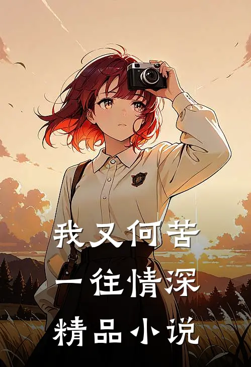 我又何苦一往情深精品小说