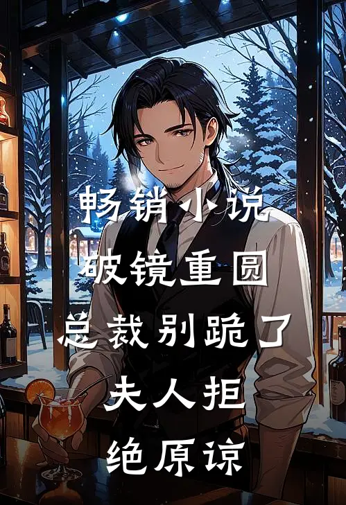 畅销小说破镜重圆：总裁别跪了，夫人拒绝原谅
