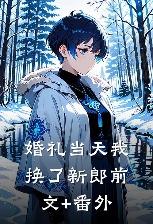 婚礼当天我换了新郎前文+番外