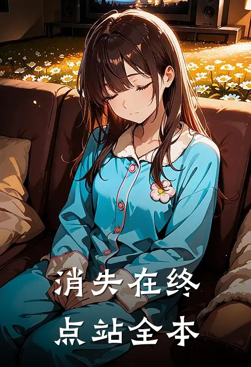 消失在终点站全本