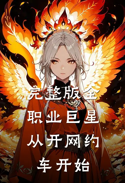 完整版全职业巨星：从开网约车开始