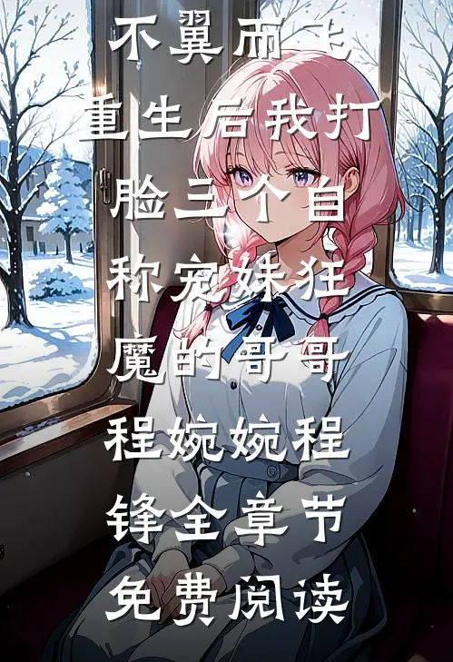 百万嫁妆不翼而飞，重生后我打脸三个自称宠妹狂魔的哥哥程婉婉程锋全章节免费阅读