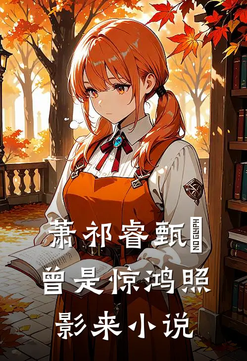 萧祁睿甄嬛曾是惊鸿照影来小说