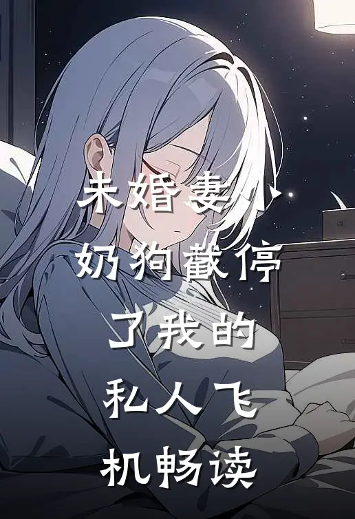 未婚妻小奶狗截停了我的私人飞机畅读